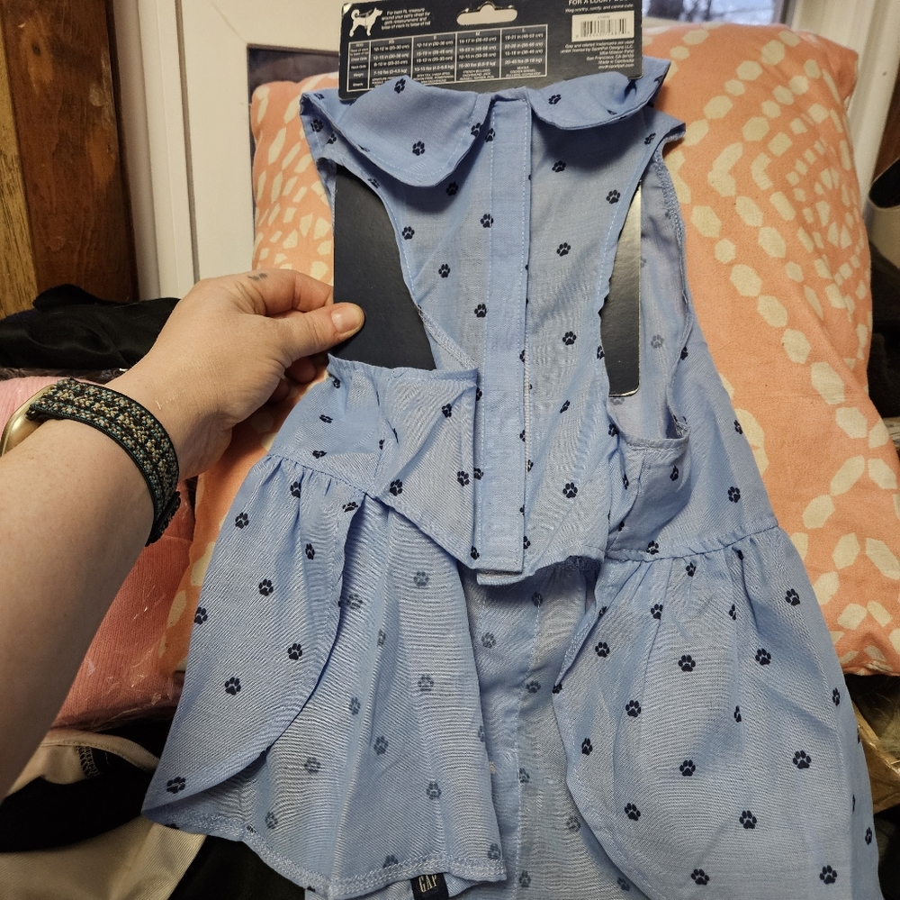 Gap dogs 🐕 blue dress 👗 size lg - Picture 3 of 3